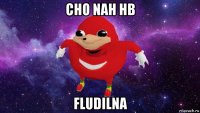 cho nah hb fludilna