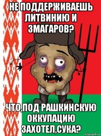 не поддерживаешь литвинию и змагаров? что,под рашкинскую оккупацию захотел,сука?