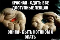 красная - сдать все доступные лекции синяя - быть котиком и спать