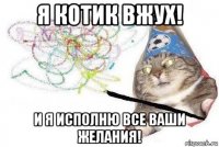 я котик вжух! и я исполню все ваши желания!