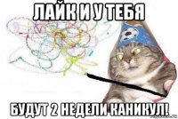 лайк и у тебя будут 2 недели каникул!