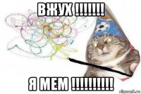 вжух !!!!!!! я мем !!!!!!!!!!