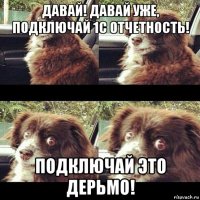 давай! давай уже, подключай 1с отчетность! подключай это дерьмо!