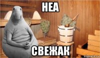 неа свежак