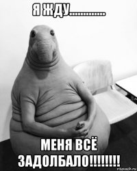 я жду............. меня всё задолбало!!!!!!!!