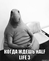  когда ждешь half life 3