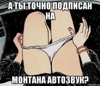 а ты точно подписан на монтана автозвук?