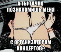 а ты точно познакомишь меня с организатором концертов?