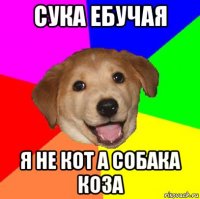 сука ебучая я не кот а собака коза