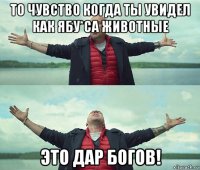 то чувство когда ты увидел как ябу*са животные это дар богов!