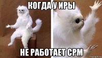 когда у иры не работает срм