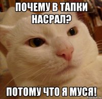 почему в тапки насрал? потому что я муся!