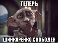 теперь шинкаренко свободен