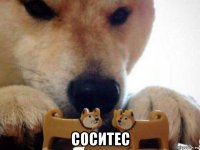  соситес