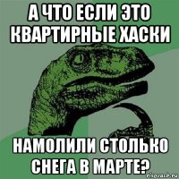 а что если это квартирные хаски намолили столько снега в марте?