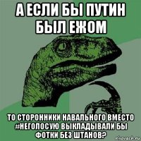 а если бы путин был ежом то сторонники навального вместо #неголосую выкладывали бы фотки без штанов?