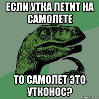 если утка летит на самолете то самолет это утконос?