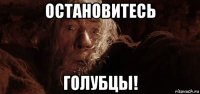 остановитесь голубцы!