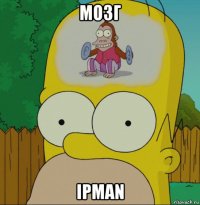 мозг ipman