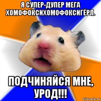 я супер-дупер мега хомофоксихомофоксигёрл. подчиняйся мне, урод!!!