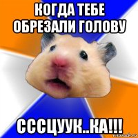 когда тебе обрезали голову сссцуук..ка!!!