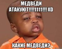 медведи атакуют!!!!1111!!! xd какие медведи?