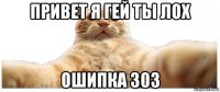 привет я гей ты лох ошипка 303