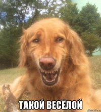  такой весёлой