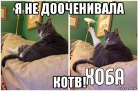 я не дооченивала котв!