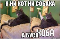 я ни кот ни собака а буся