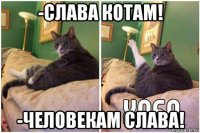 -слава котам! -человекам слава!