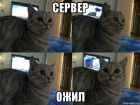 сервер ожил