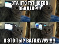 эта кто тут котов обидел?!!! а это ты? ватакуууу!!!!!