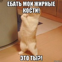 ебать мои жирные кости! это ты?!