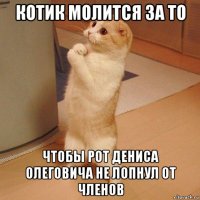 котик молится за то чтобы рот дениса олеговича не лопнул от членов