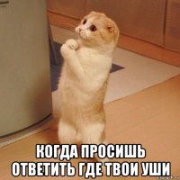  когда просишь ответить где твои уши