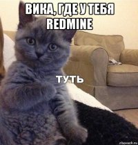 вика, где у тебя redmine 