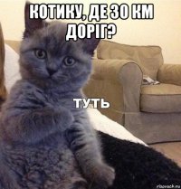 котику, де 30 км доріг? 