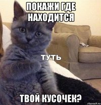 покажи где находится твой кусочек?