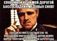 спокойной ночи мой дорогой босс! сладких медовых снов! заходи ко мне в гости во сне- не опаздывай-иначе обижусь.целую нежно жарко-твоя лиличка.не болей береги себя