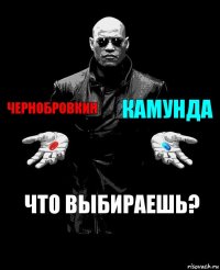 Чернобровкин Камунда Что выбираешь?