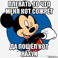 плевать то что меня кот сожрёт да пошёл кот нахуй