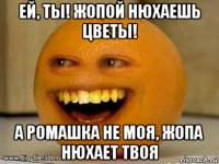 ей, ты! жопой нюхаешь цветы! а ромашка не моя, жопа нюхает твоя