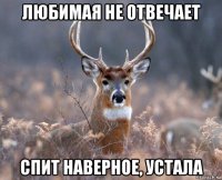 любимая не отвечает спит наверное, устала