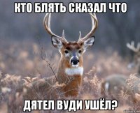 кто блять сказал что дятел вуди ушёл?