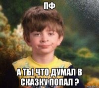 пф а ты что думал в сказку попал ?