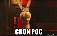  cron poc