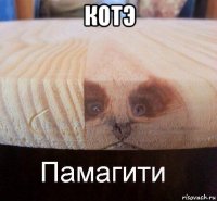 котэ 