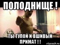 полоднище ! ты тупой и вшивый примат ! !