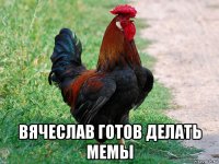  вячеслав готов делать мемы